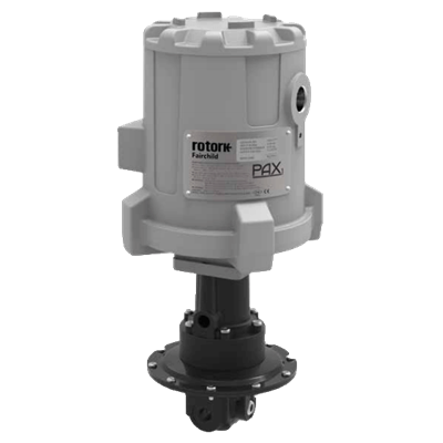 PAX1 Model 11 Precision Low Pressure Regulator