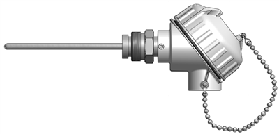 Thermometer Replacement RTDs