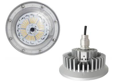 L1511 (SMD) Hazardous Location LED Light