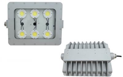 L1733N (COB) Hazardous Location Flood Light