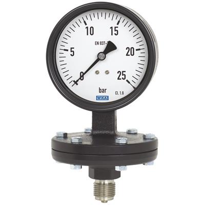Model 422.12, 423.12 Diaphragm Pressure Gauge